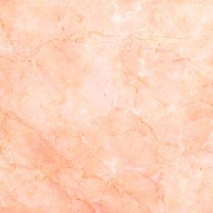 Meet your Posher, Reese